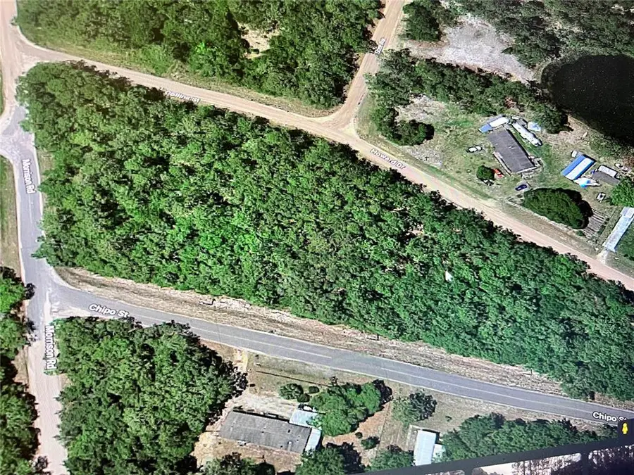 0 Chipo Street, Interlachen, FL 32148 - Image #3