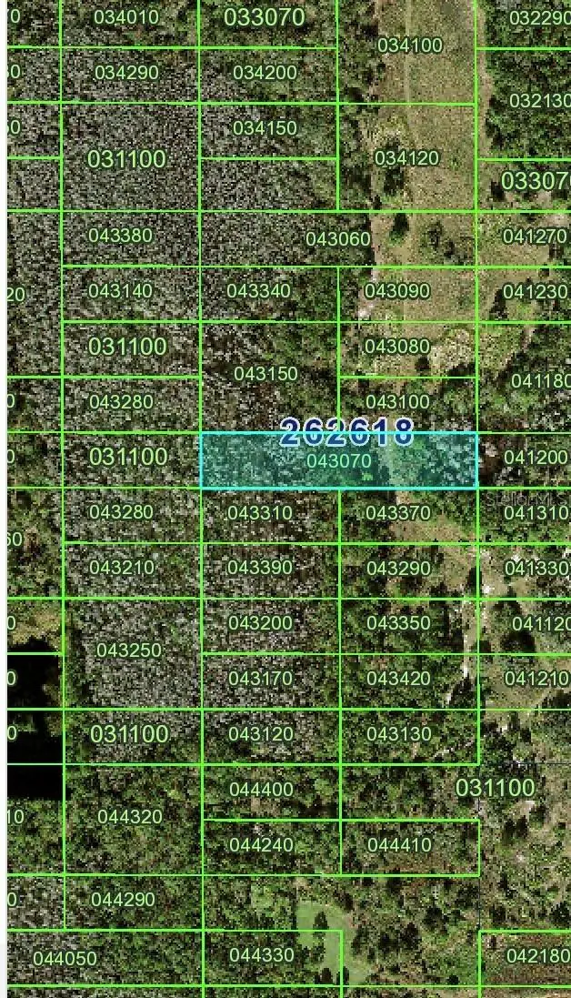 Old Grade Road, Polk City, FL 33868 - Image #2