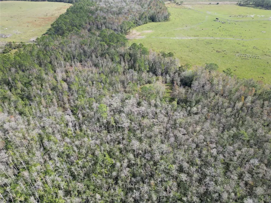 Pace Road, Clermont, FL 34714 - Image #3