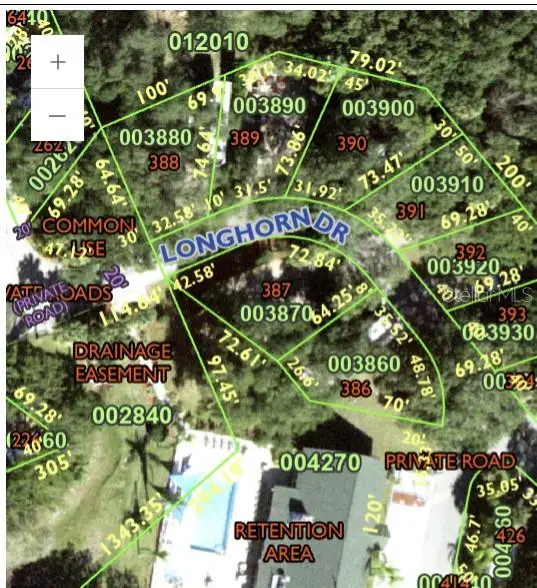 387 Longhorn Drive, Lake Wales, FL 33898 - Image #3