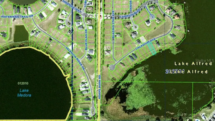 160 Caladium Avenue, Lake Alfred, FL 33850 - Image #3