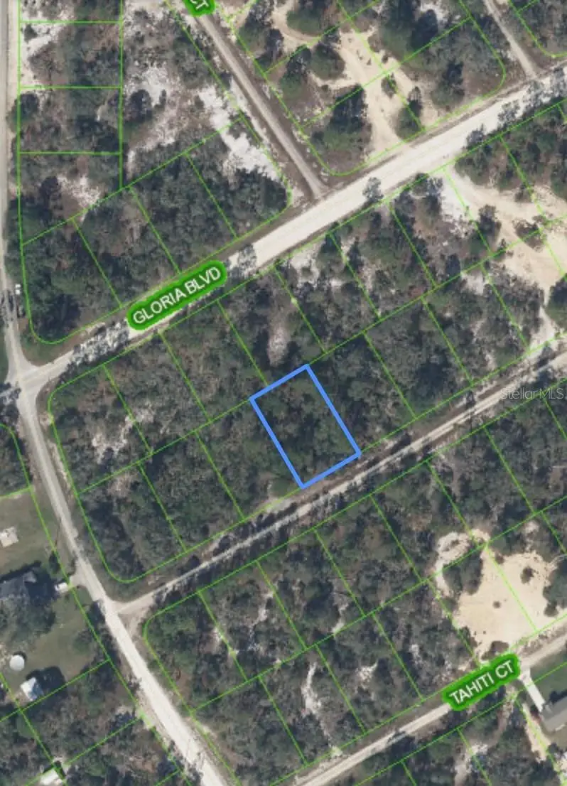 406 Allegheny Avenue, Lake Placid, FL 33852 - Image #1