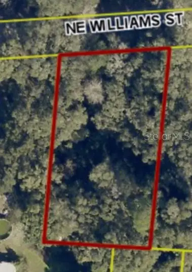 148 NE Williams Street, Lake City, FL 32055 - Image #2