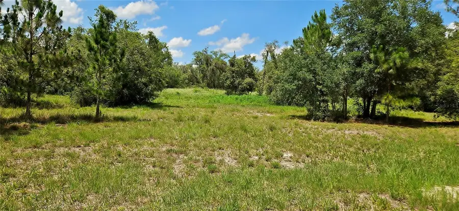 Mammoth Grove Road, Lake Wales, FL 33898 - Image #3