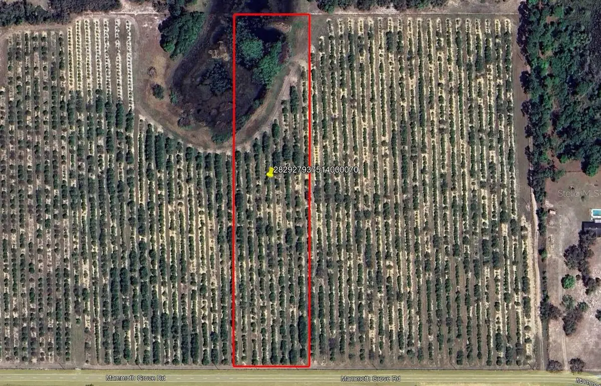 Mammoth Grove Road, Lake Wales, FL 33898 - Image #1