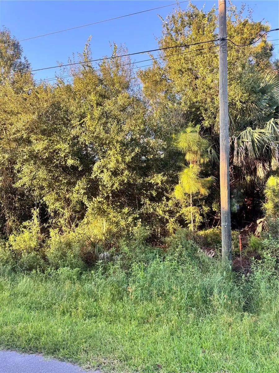 Colorade Avenue, North Port, FL 34286 - Image #3