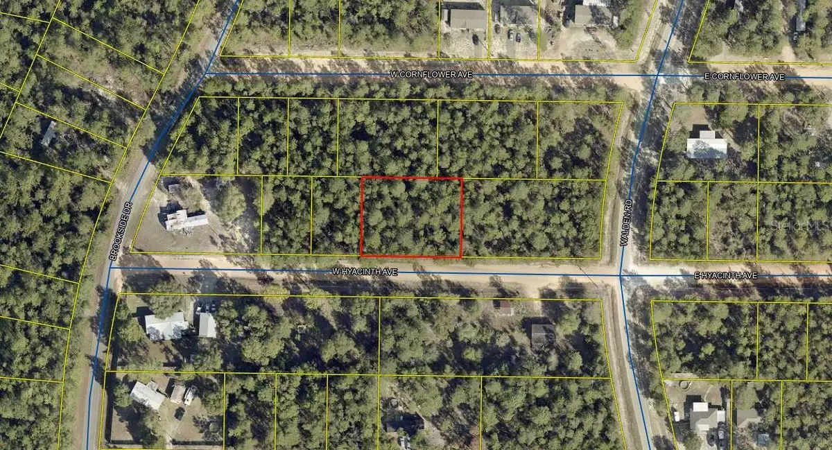 W Hyacinth Avenue, Defuniak Springs, FL 32433 - Image #1
