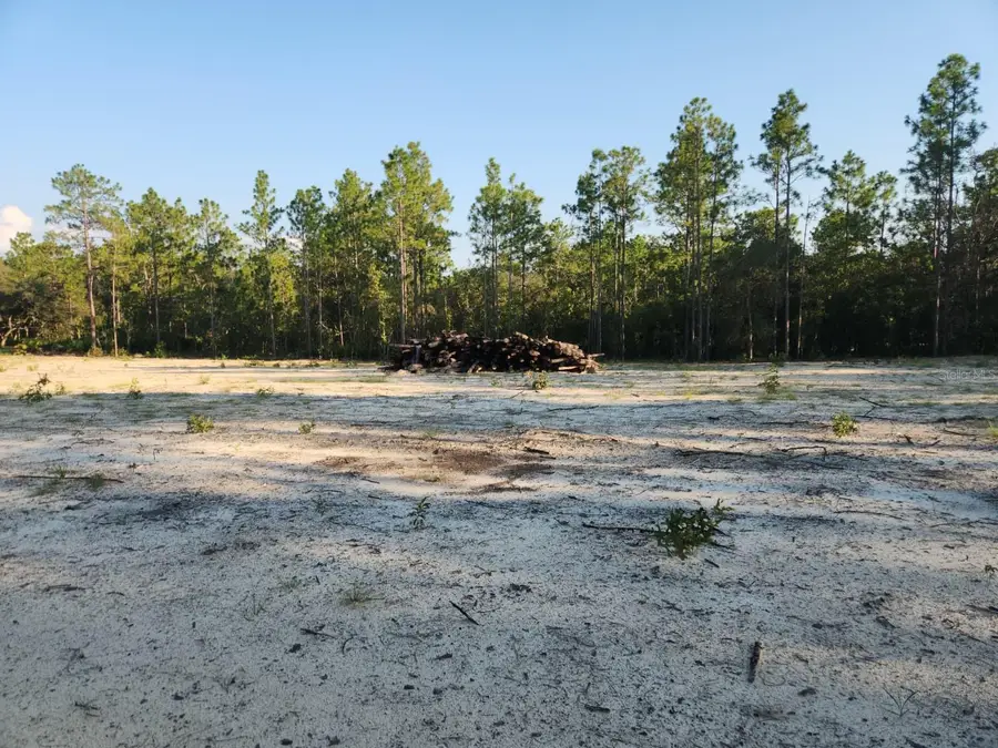 135th Avenue, Ocala, FL 34481 - Image #2