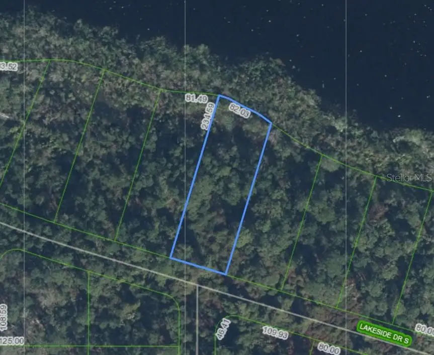1302 Lakeside Drive S, Sebring, FL 33875 - #1