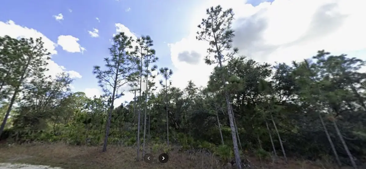 703 Gardenia Drive, Indian Lake Estates, FL 33855 - Image #1