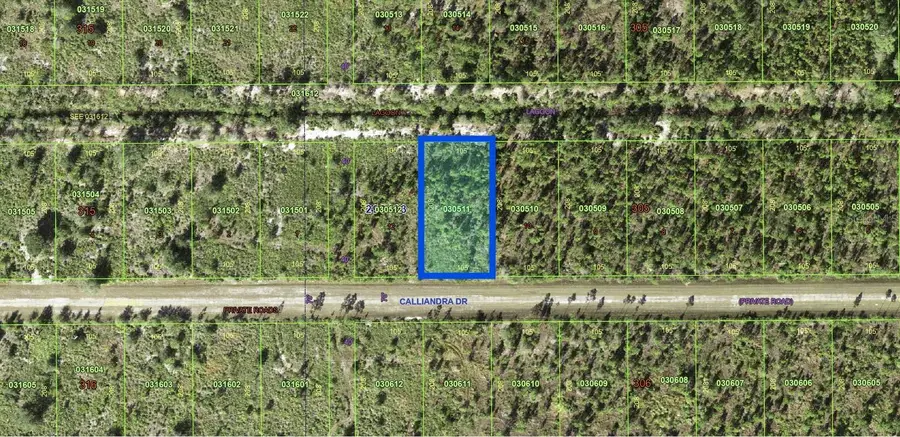 1022 Calliandra Drive, Indian Lake Estates, FL 33855 - Image #3