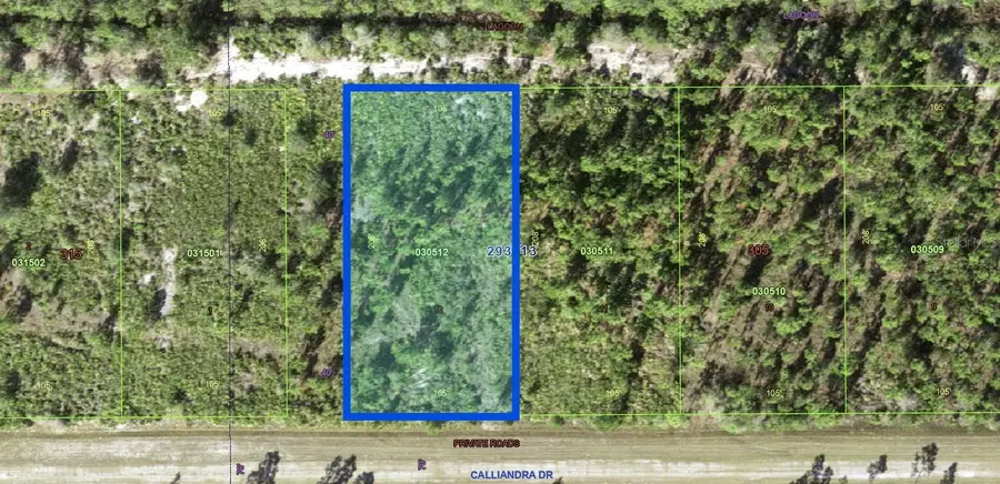 1024 Calliandra Drive, Indian Lake Estates, FL 33855 - #2