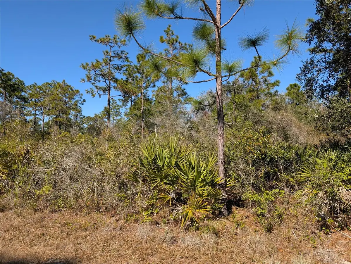 612 Magnolia Drive, Indian Lake Estates, FL 33855 - Image #1