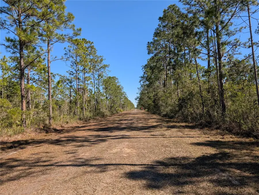 206 Ixora Drive, Indian Lake Estates, FL 33855 - Image #2