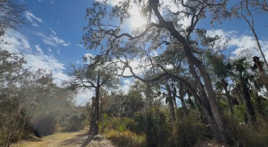 4051-3803 Dixiana Drive, Bowling Green, FL 33834 - #3