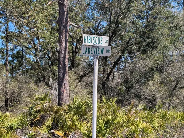 923 Hibiscus Drive, INDIAN LAKE ESTATES, FL 33855