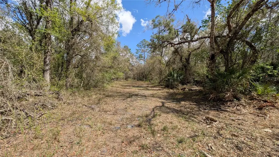 Gillette Road, Zolfo Springs, FL 33890 - #3