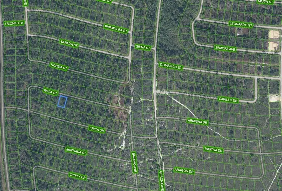 8705 Pavia Street, Sebring, FL 33872 - #2