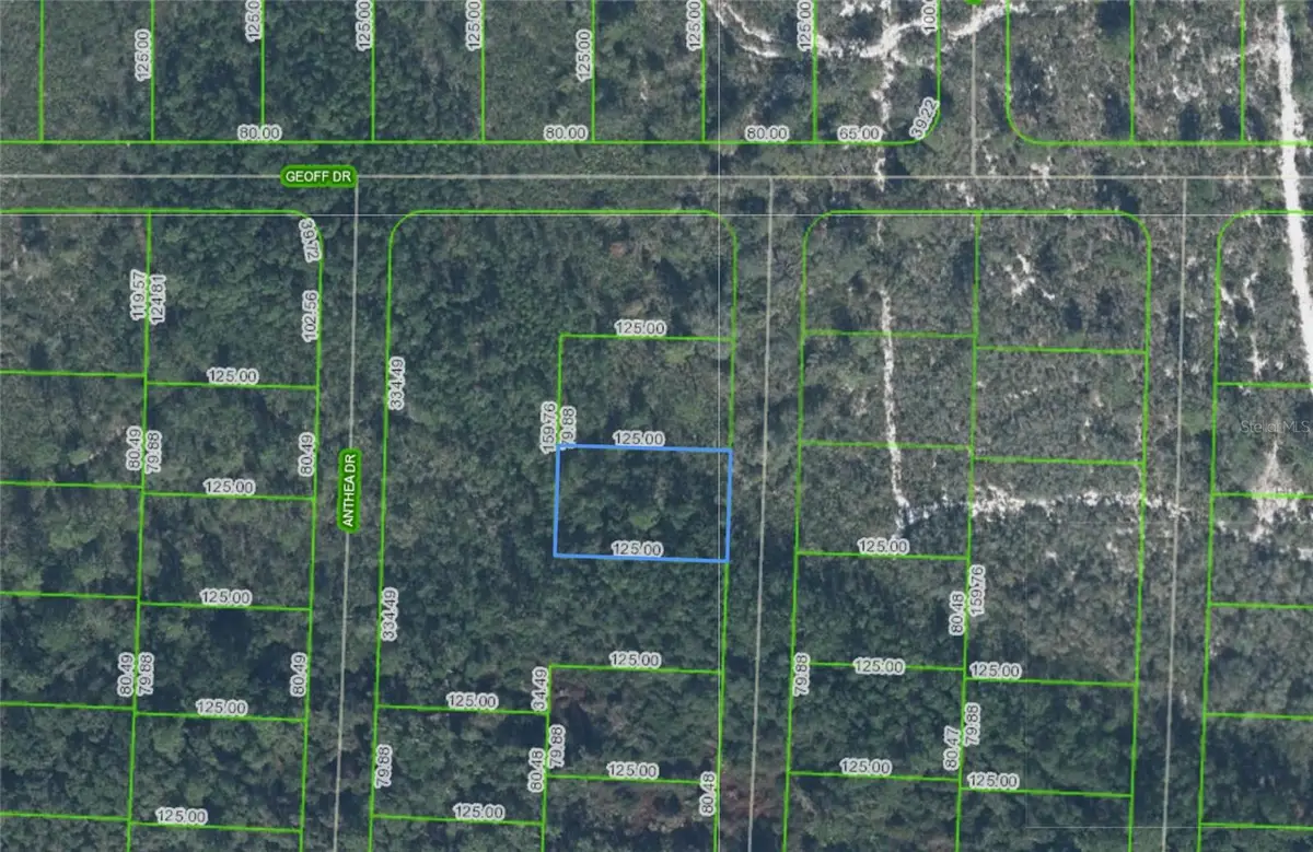 6316 Alicia Drive, Sebring, FL 33872 - #1