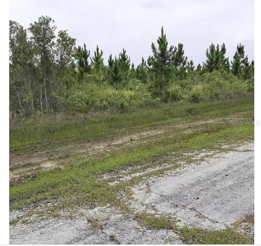 Calliandra Drive, Indian Lake Estates, FL 33855 - #1