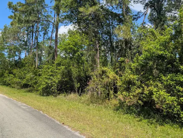 204 Allamanda Drive, INDIAN LAKE ESTATES, FL 33855