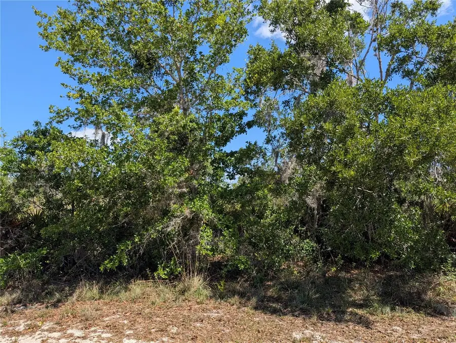 816 Bougainville Drive, Indian Lake Estates, FL 33855 - #3