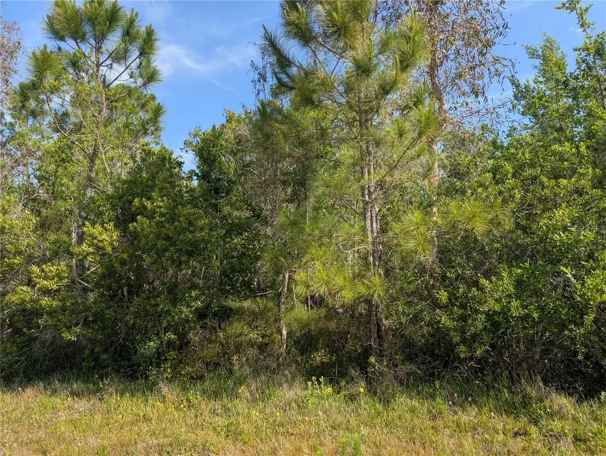 704 Orchid Drive, Indian Lake Estates, FL 33855 - #1