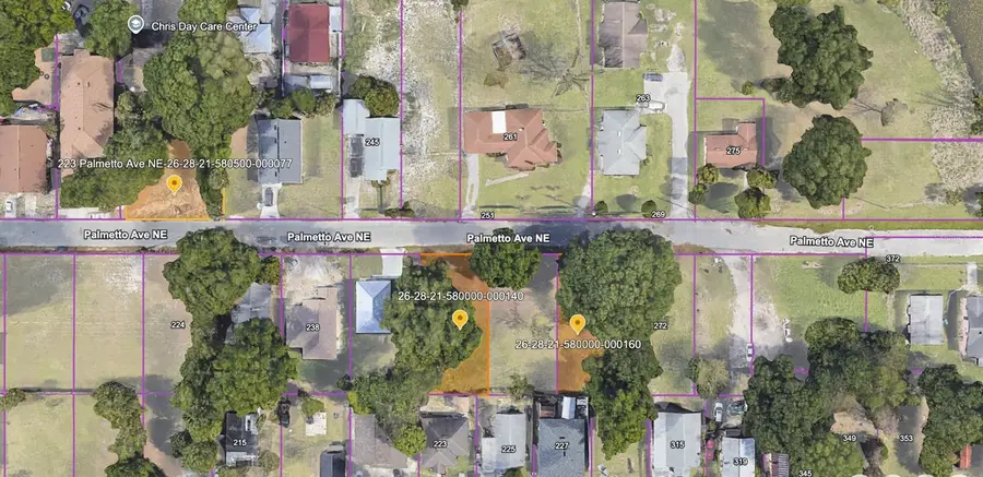 223 Palmetto Avenue Ne, Winter Haven, FL 33881 - #2
