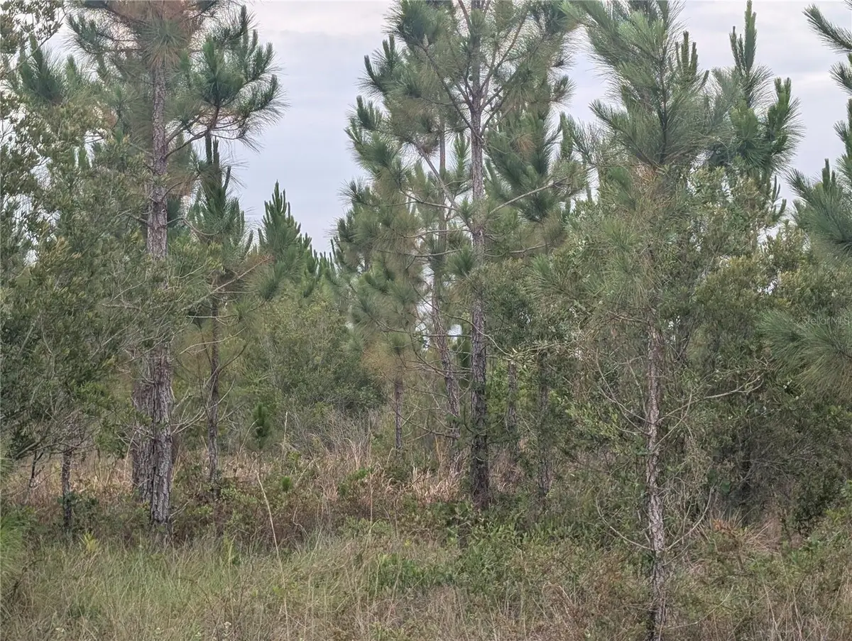 221 Tropicana Drive, Indian Lake Estates, FL 33855 - #1