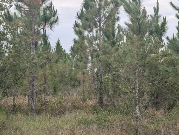 221 Tropicana Drive, INDIAN LAKE ESTATES, FL 33855