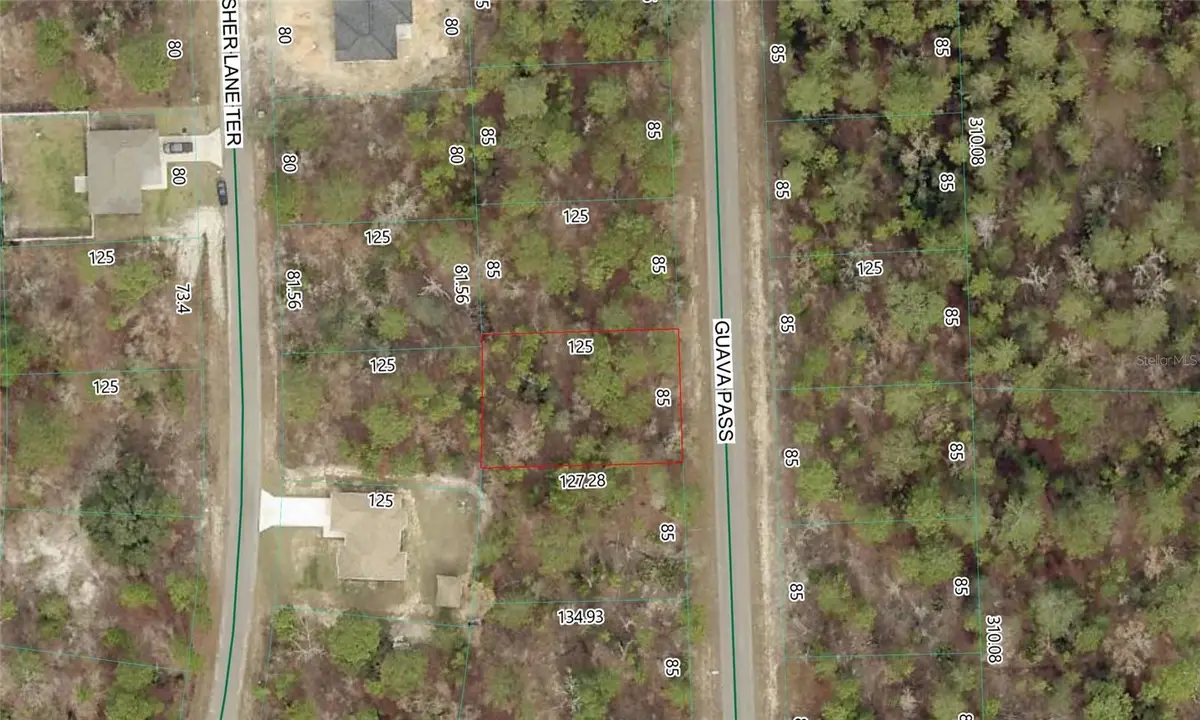 Guava Pass Lot 10, Ocklawaha, FL 32179 - #1