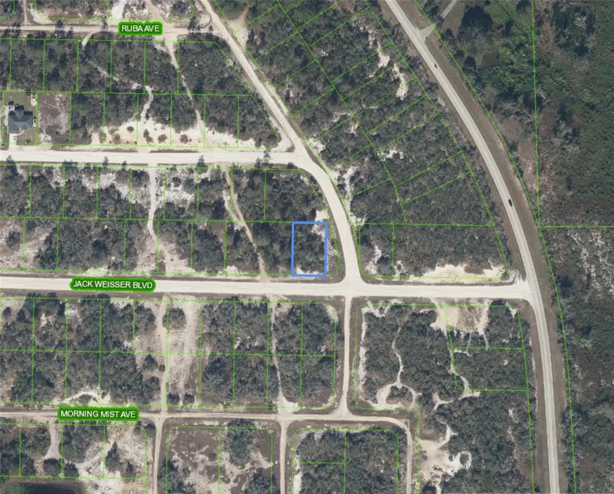 472 Jack Weisser Boulevard, Lake Placid, FL 33852 - #1