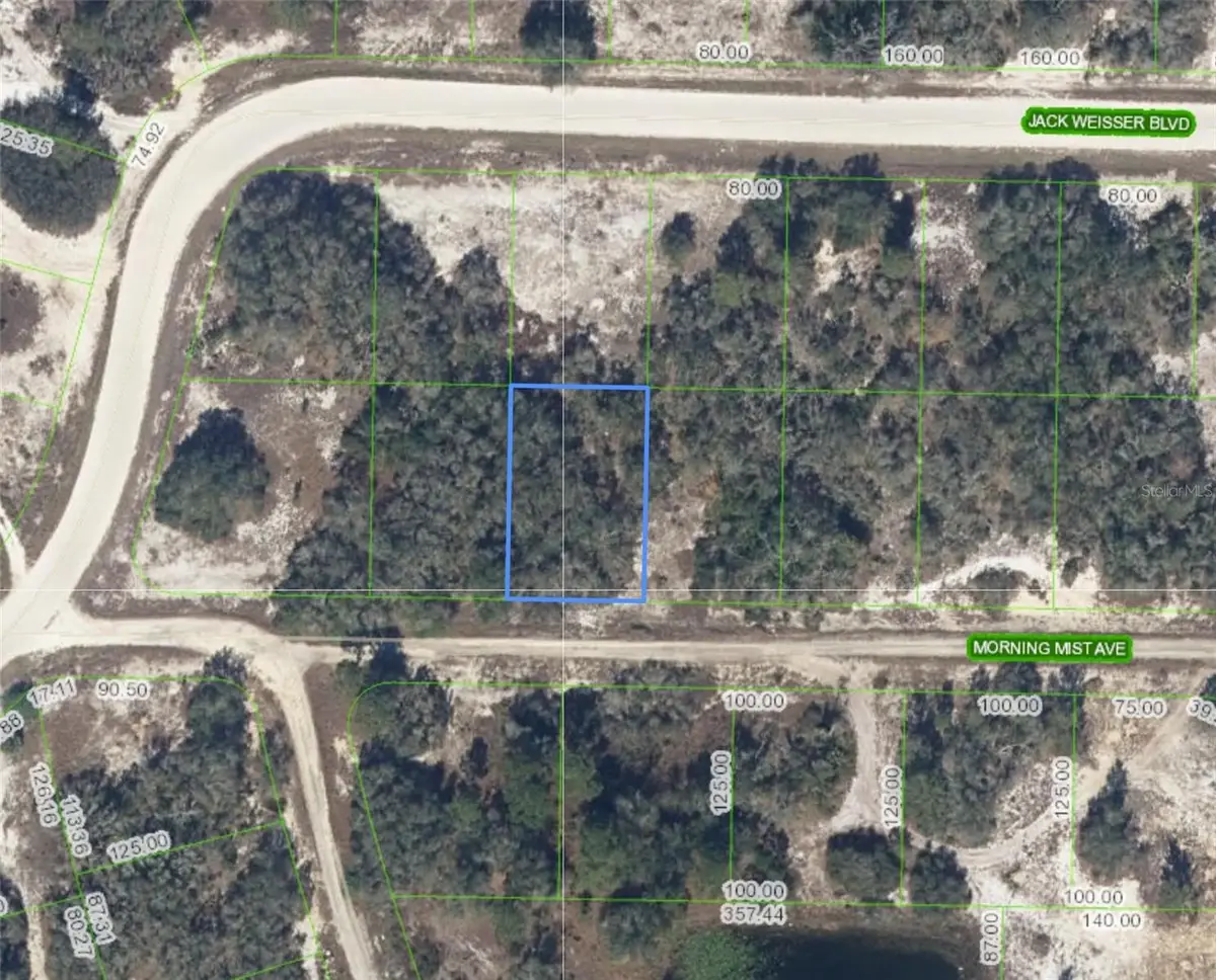 504 Morning Mist Avenue, Lake Placid, FL 33852 - #1