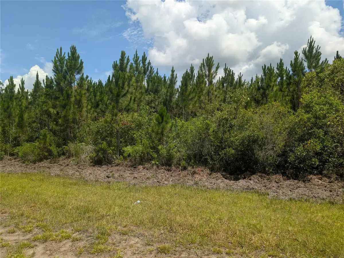 106 Japonica Drive, Indian Lake Estates, FL 33855 - #1