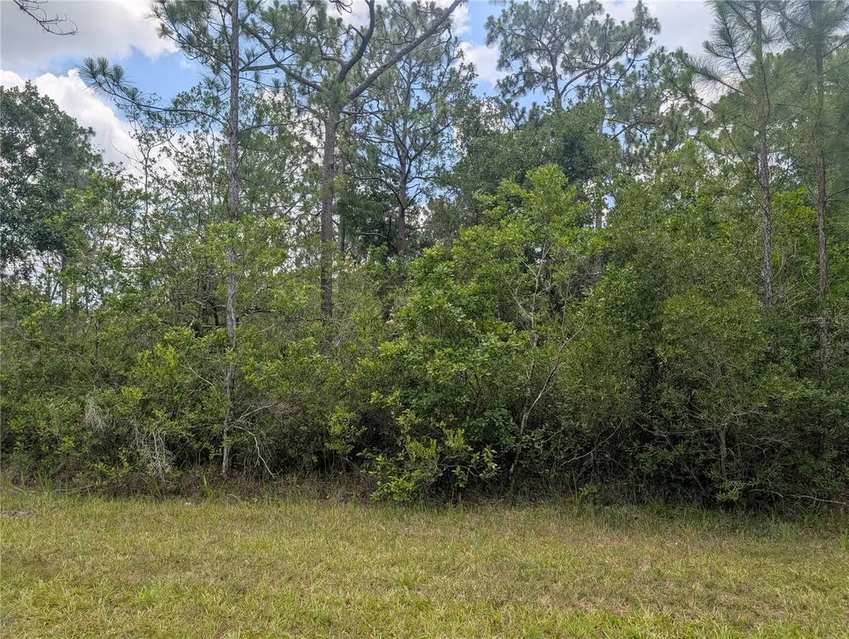 519 Camellia Drive, Indian Lake Estates, FL 33855 - #1