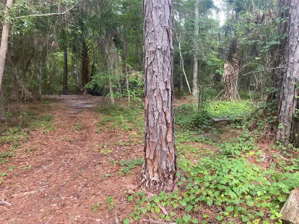 709 Georgetown Denver Road, CRESCENT CITY, FL 32112