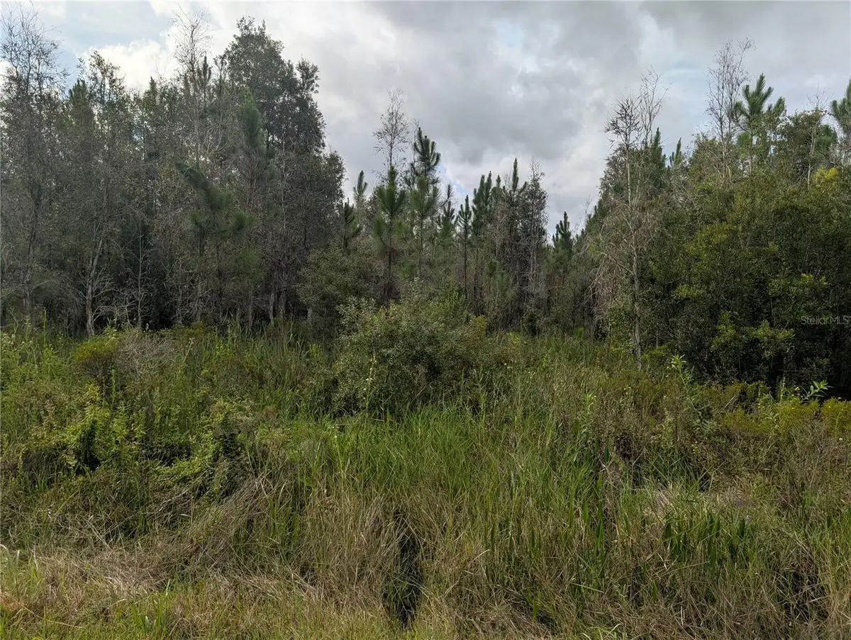 Meadowlark Boulevard, Indian Lake Estates, FL 33855 - #1
