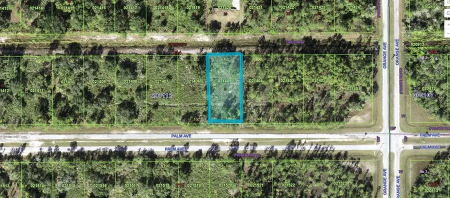 810 Palm Avenue, Indian Lake Estates, FL 33855 - #3