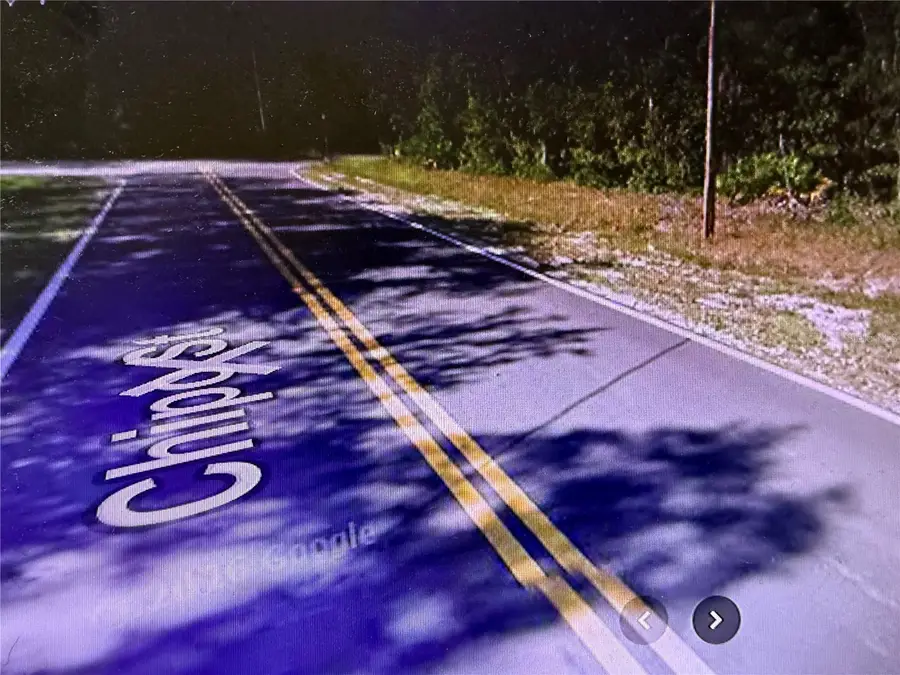 0 Chipo St, Interlachen, FL 32148 - #3
