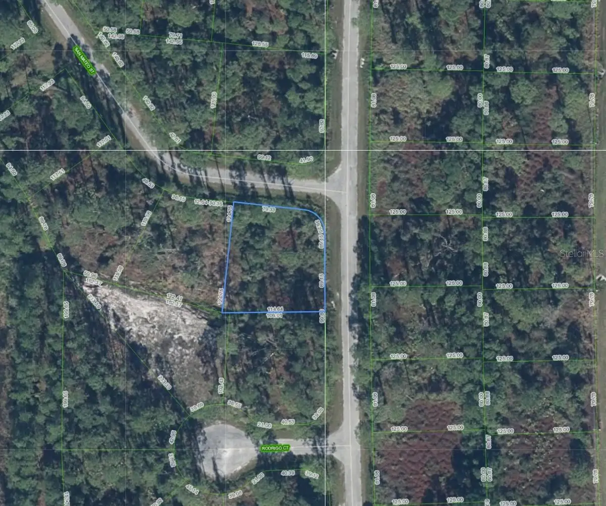 8680 San Mateo Street, Sebring, FL 33872 - #1