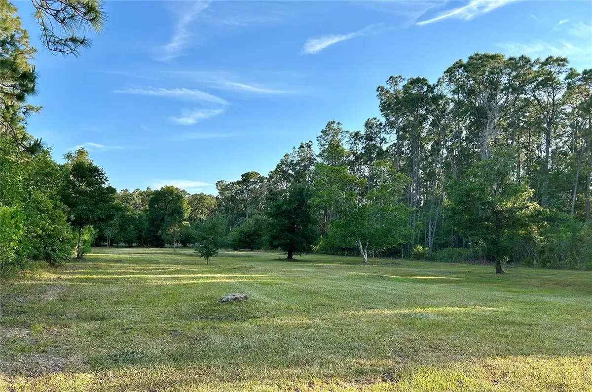 Limpkin Lane, Frostproof, FL 33843 - #1
