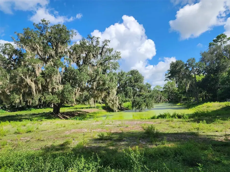 3102 Thonotosassa Road, Plant City, FL 33565 - #2