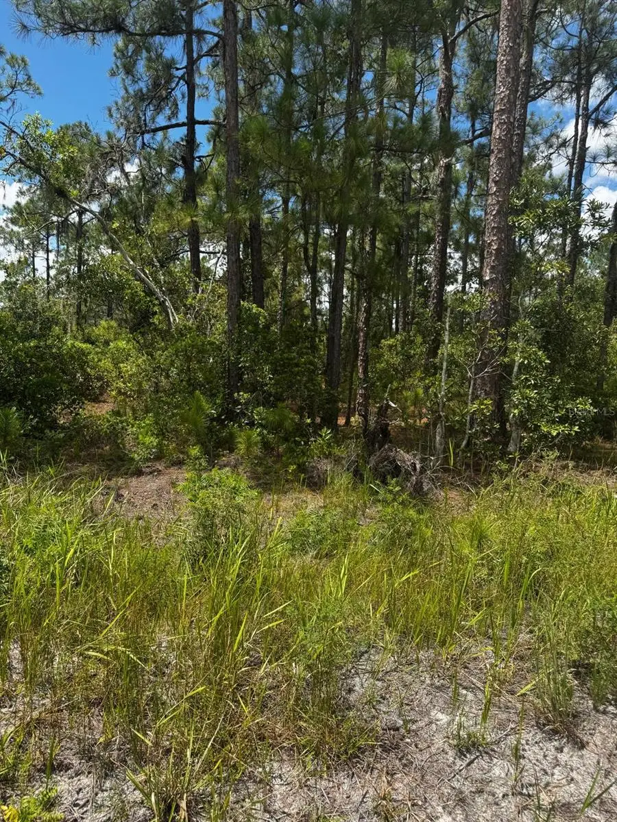 Mcclellan Road #6, Frostproof, FL 33843 - #1