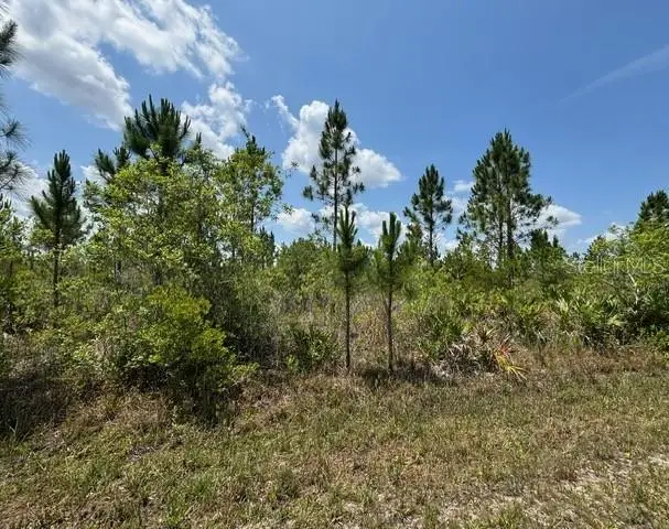 1015 Calliandra Drive, Indian Lake Estates, FL 33855 - #1