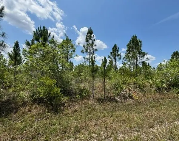 1015 Calliandra Drive, INDIAN LAKE ESTATES, FL 33855