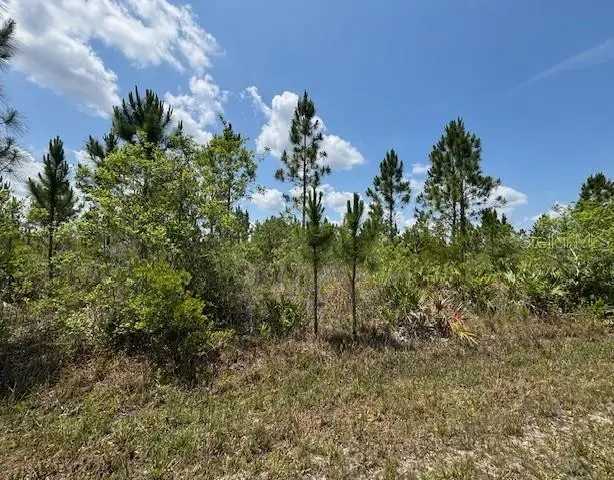 1015 Calliandra Drive, Indian Lake Estates, FL 33855 - #2