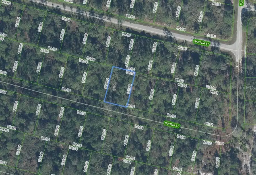 8604 Robbia Street, Sebring, FL 33872 - #2