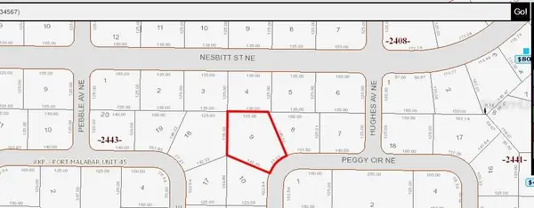 335 NE Peggy Circle Ne, PALM BAY, FL 32907
