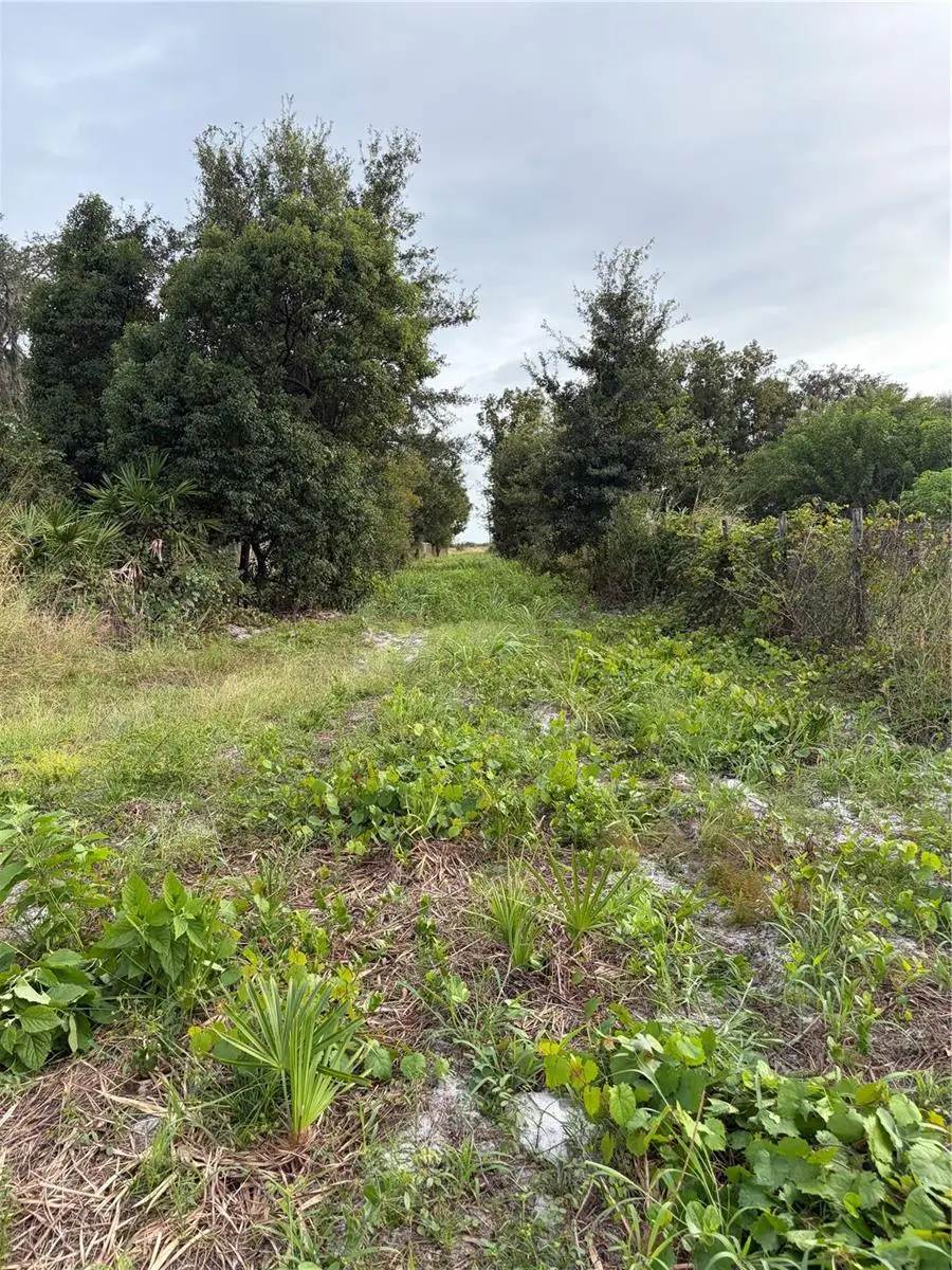 0 Otto Polk Road, Frostproof, FL 33843 - #3