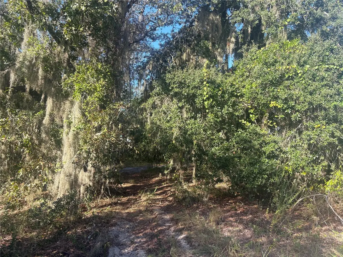 0 Jenny Drive, Lake Wales, FL 33898 - #1